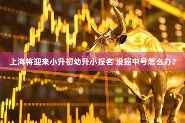 上海将迎来小升初幼升小报名 没摇中号怎么办？