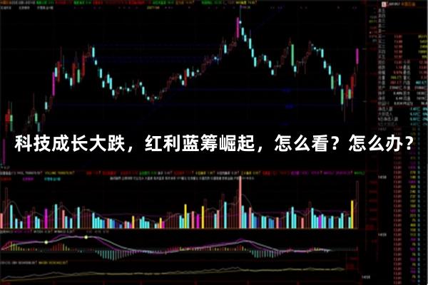 科技成长大跌，红利蓝筹崛起，怎么看？怎么办？