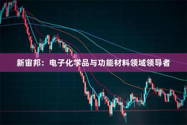 新宙邦：电子化学品与功能材料领域领导者